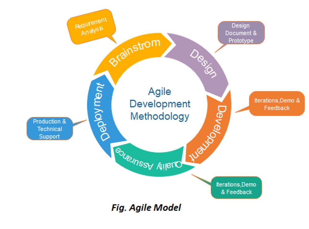 Featured image for What is Agile Model